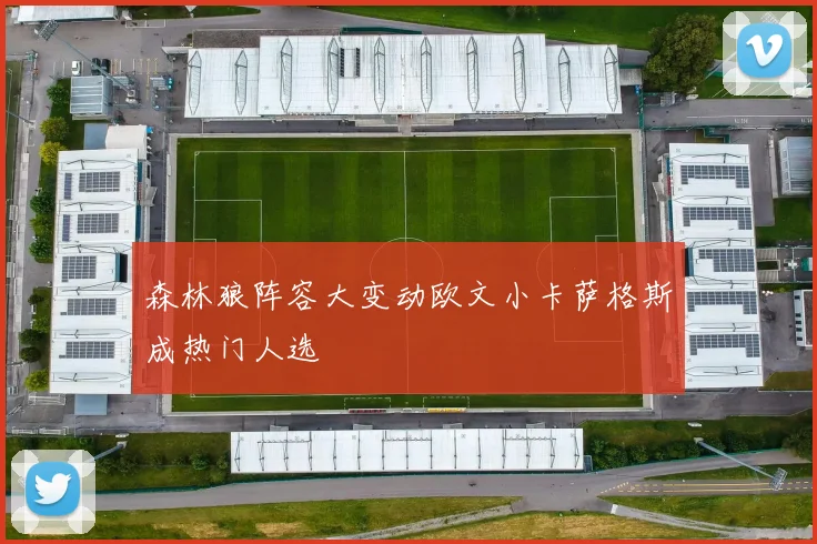 森林狼阵容大变动欧文小卡萨格斯成热门人选
