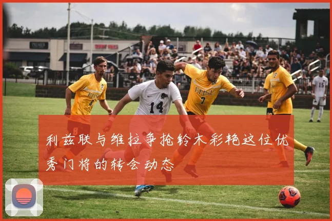 利兹联与维拉争抢铃木彩艳这位优秀门将的转会动态
