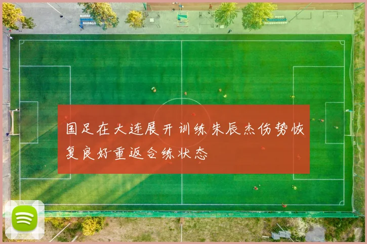 国足在大连展开训练朱辰杰伤势恢复良好重返合练状态